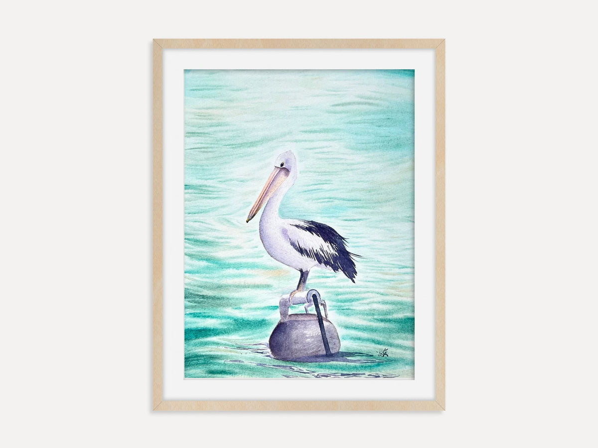 Australian Pelican  - Original Watercolor Painting