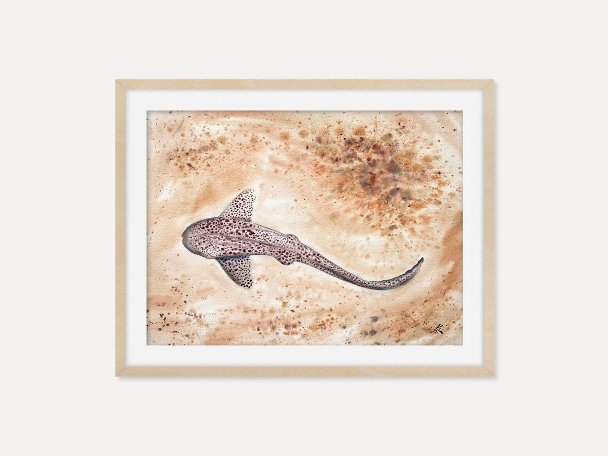 Leopard Shark  - Original Watercolor Painting