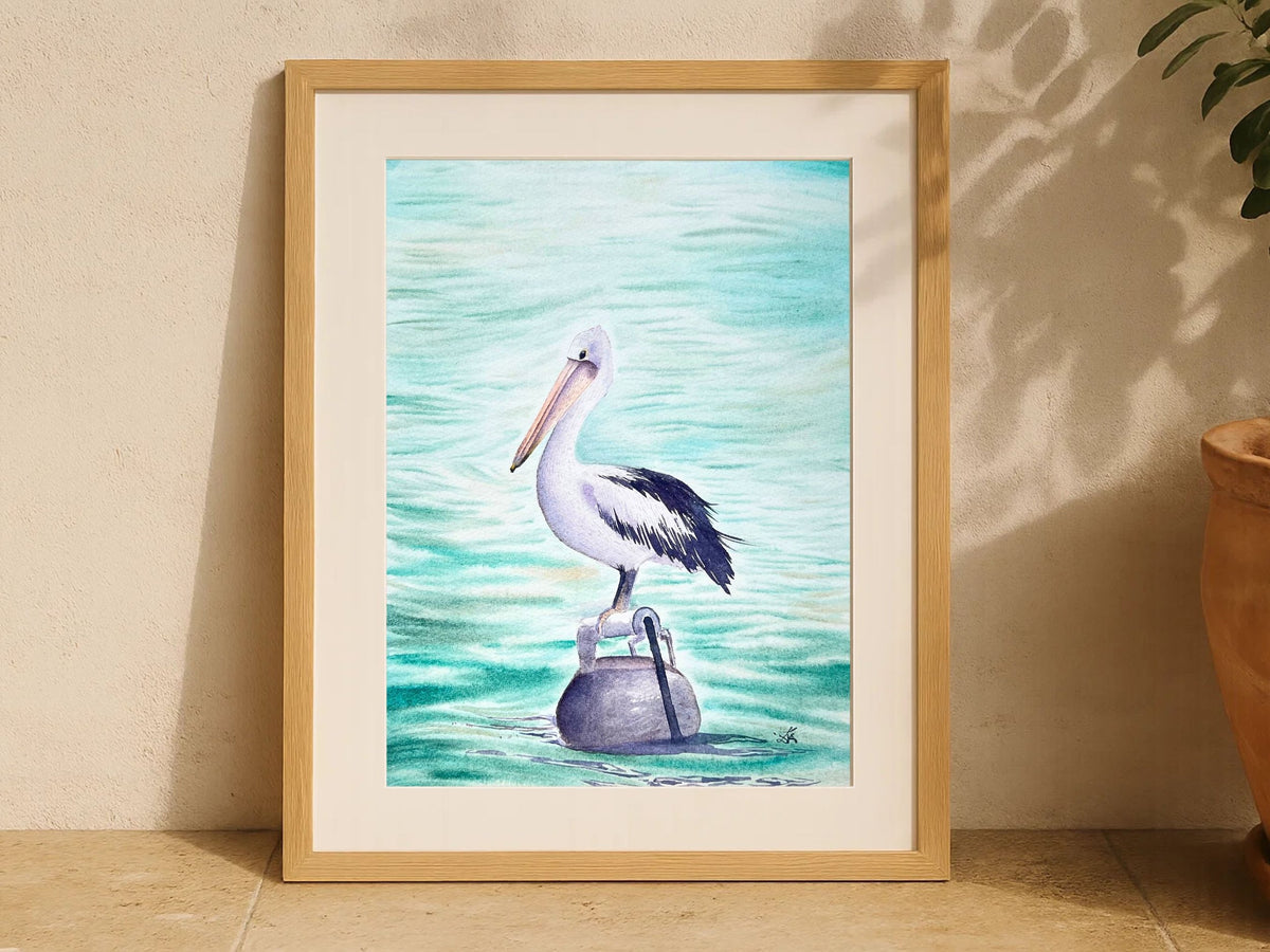 Australian Pelican  - Original Watercolor Painting