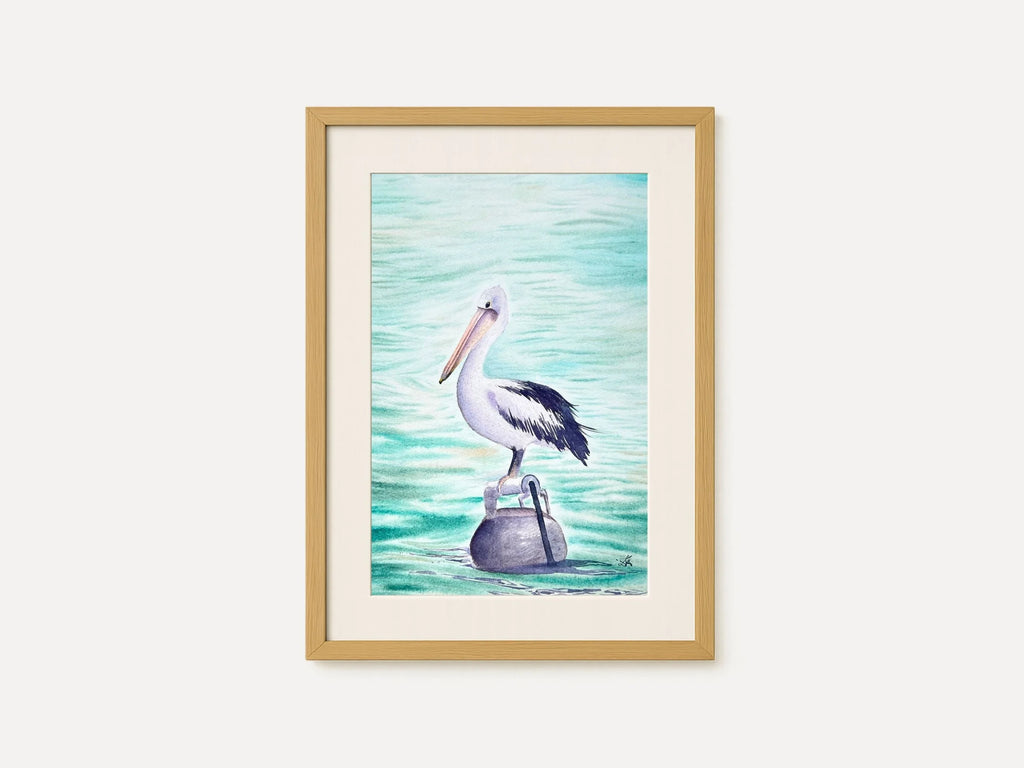 Australian Pelican  - Original Watercolor Painting