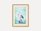 Australian Pelican  - Original Watercolor Painting