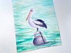 Australian Pelican  - Original Watercolor Painting