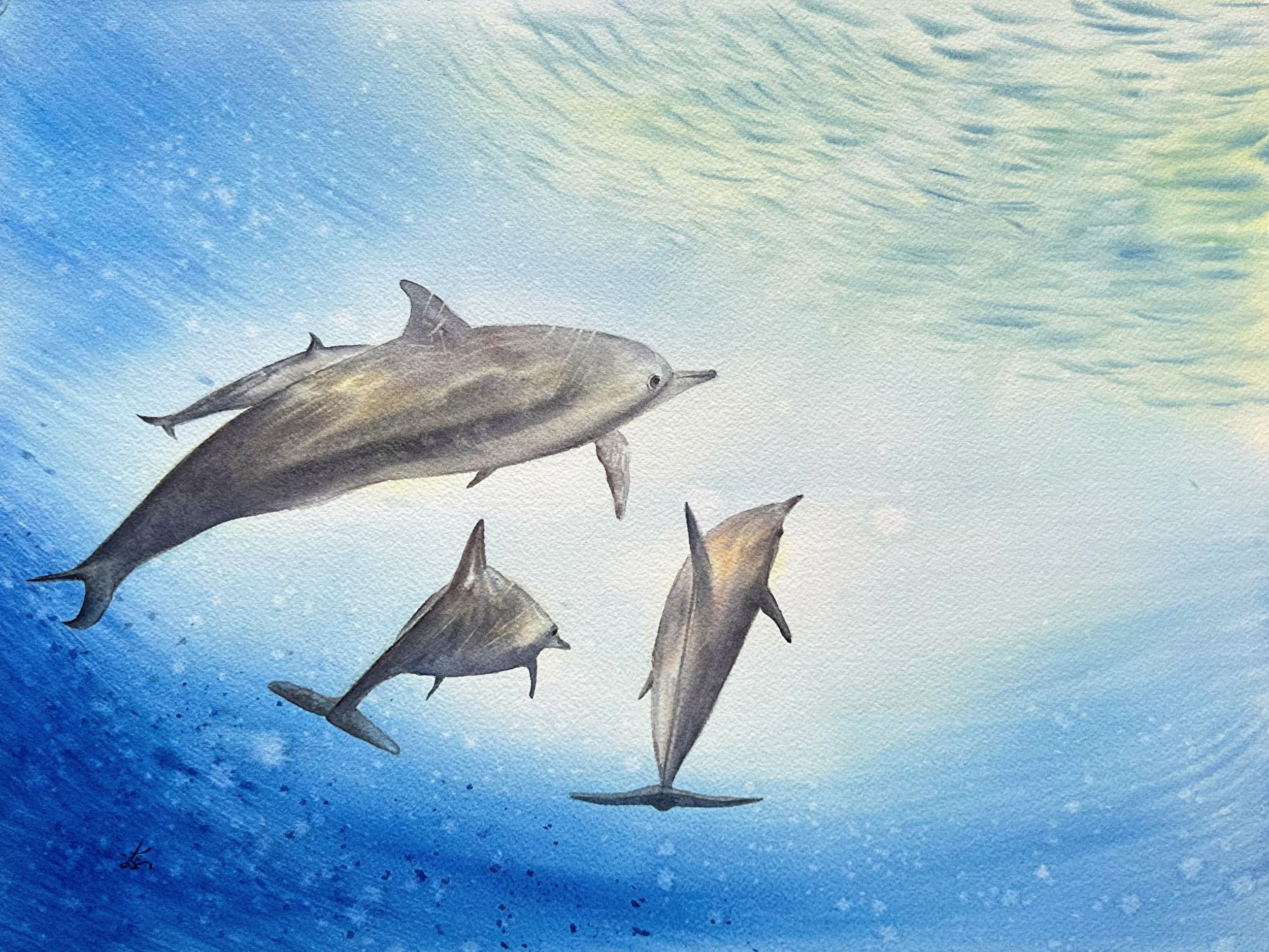 Dolphins  - Original Watercolor Painting