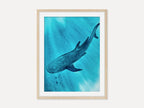Whale Shark 2  - Original Watercolor Painting | On Display