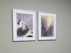 Commission a Custom Original Watercolor Painting in 2025