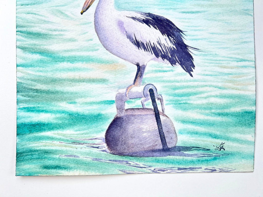 Australian Pelican  - Original Watercolor Painting