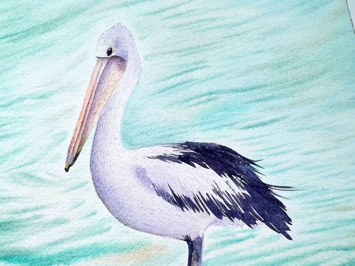 Australian Pelican  - Original Watercolor Painting
