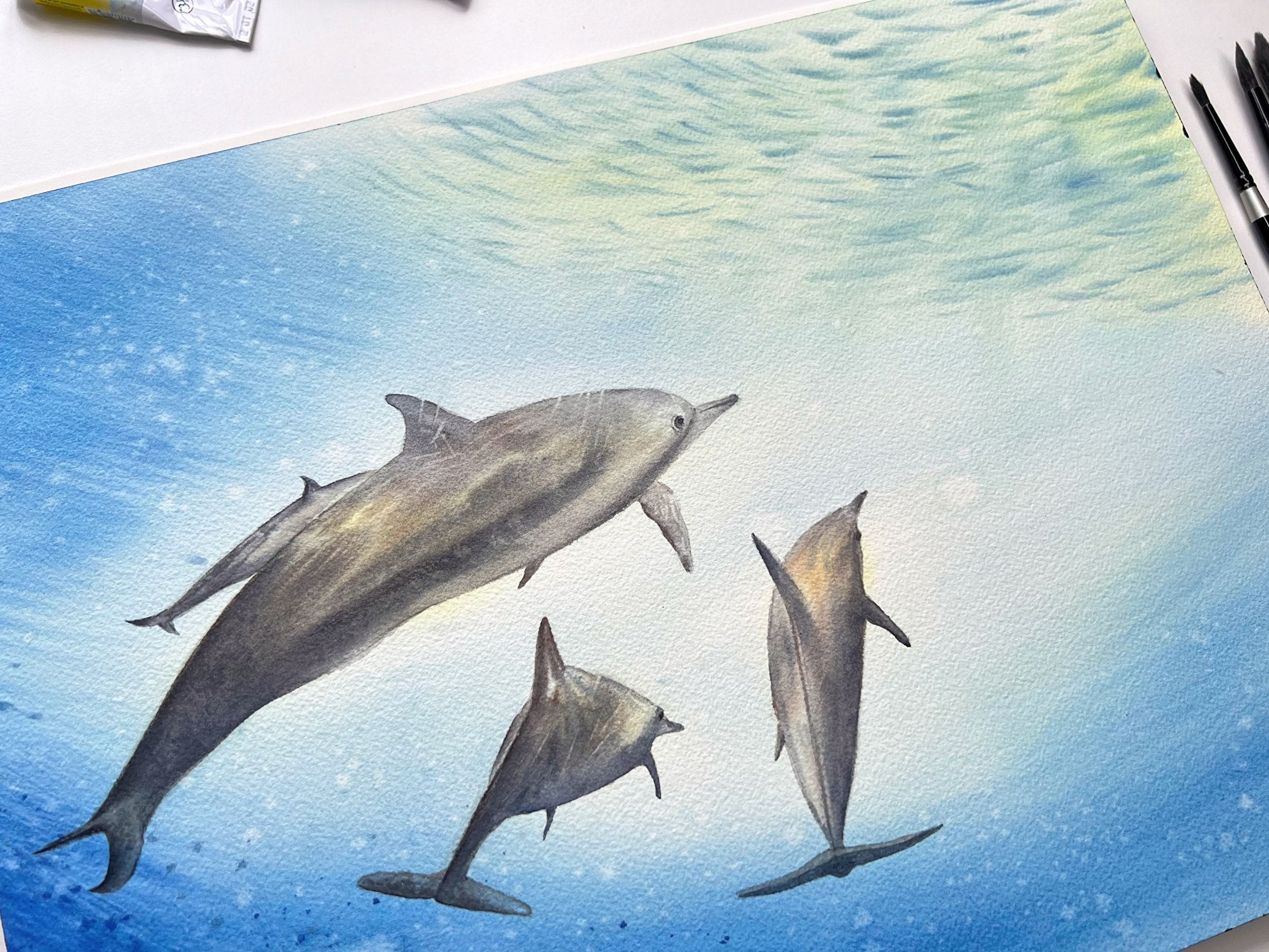 Dolphins  - Original Watercolor Painting