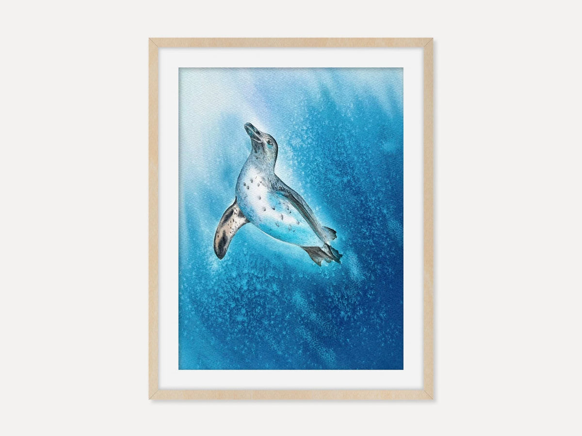 Galapagos Penguin  - Original Watercolor Painting