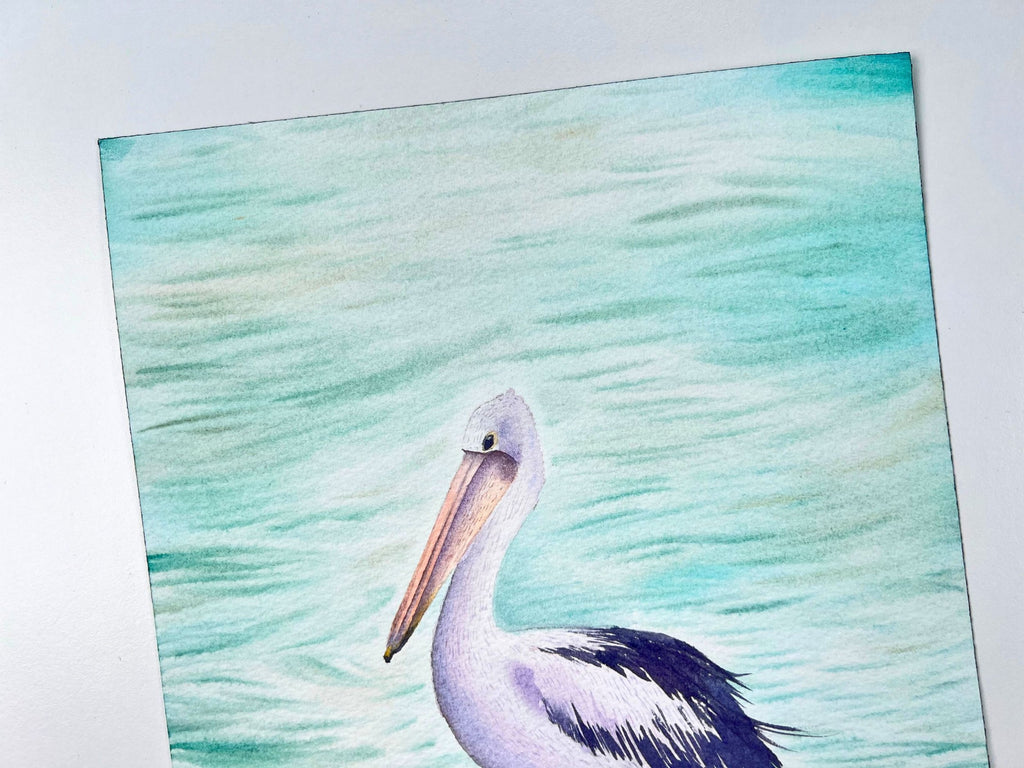 Australian Pelican  - Original Watercolor Painting