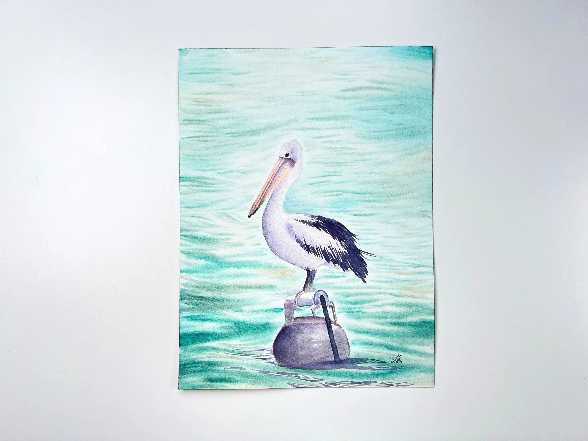 Australian Pelican  - Original Watercolor Painting