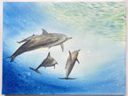 Dolphins  - Original Watercolor Painting