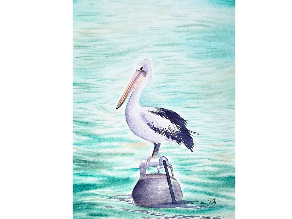 Australian Pelican  - Original Watercolor Painting