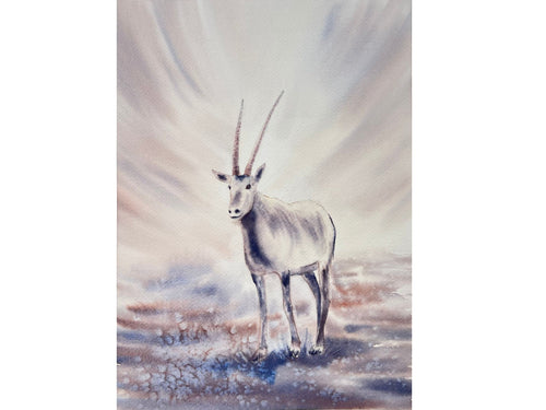 Antheope Oryx - Original Watercolor Painting