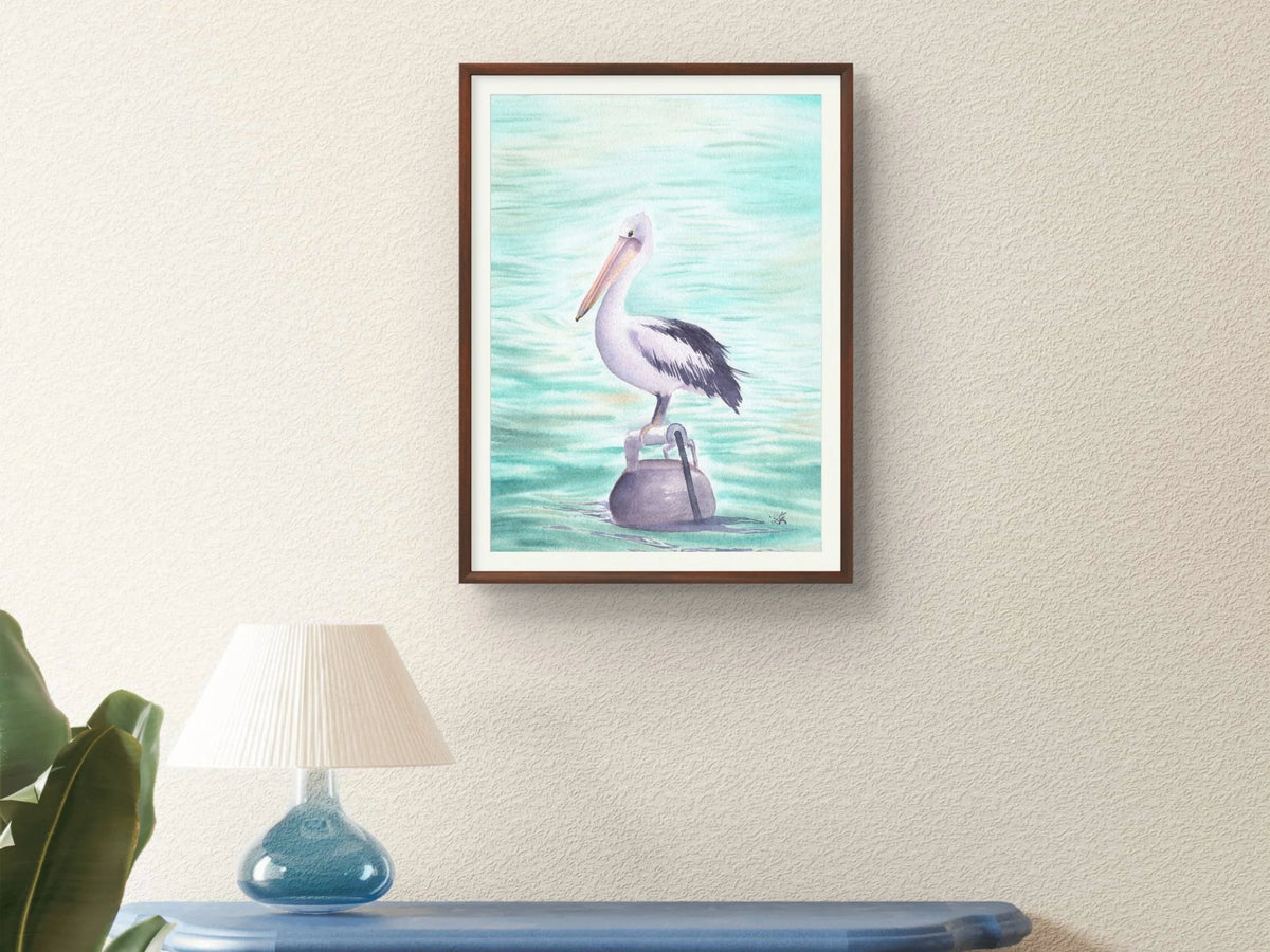 Australian Pelican - Art Print