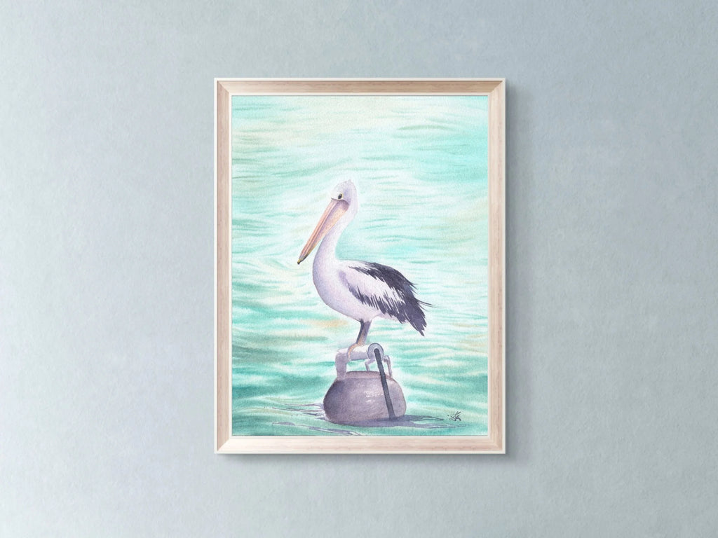 Australian Pelican - Art Print