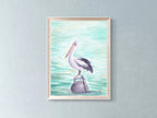 Australian Pelican - Art Print
