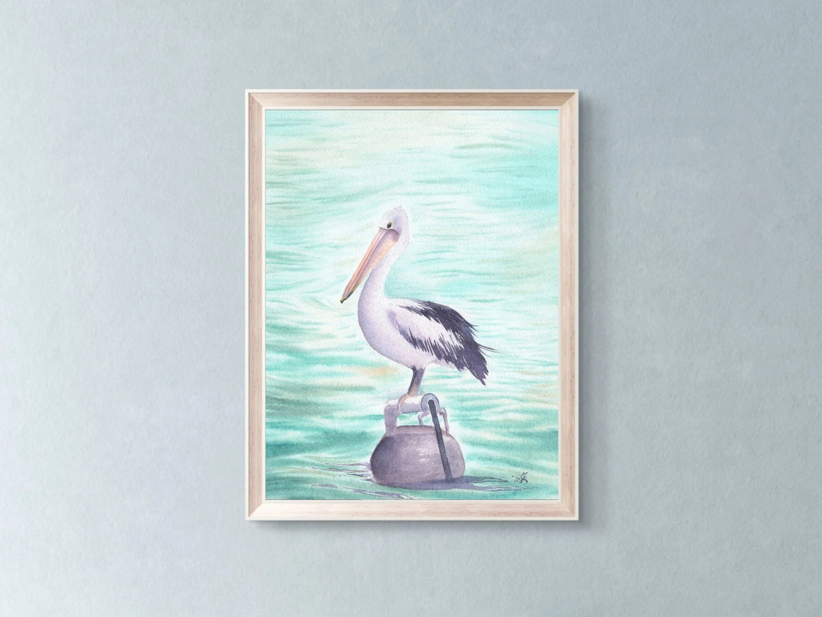 Australian Pelican - Art Print