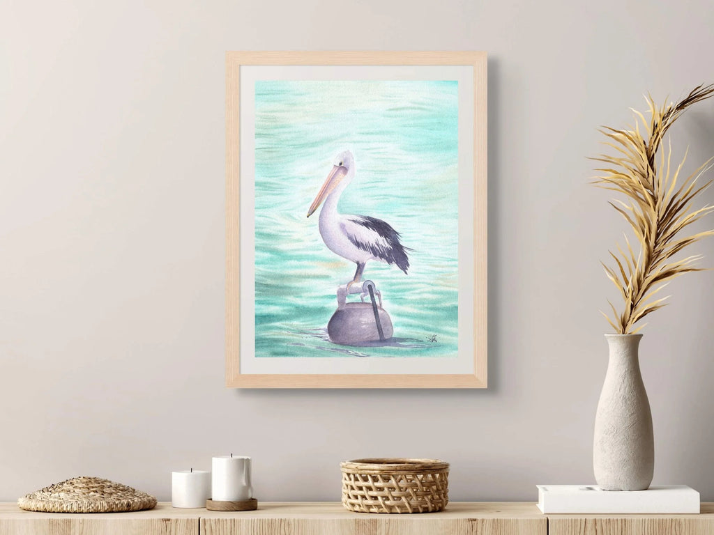 Australian Pelican - Art Print