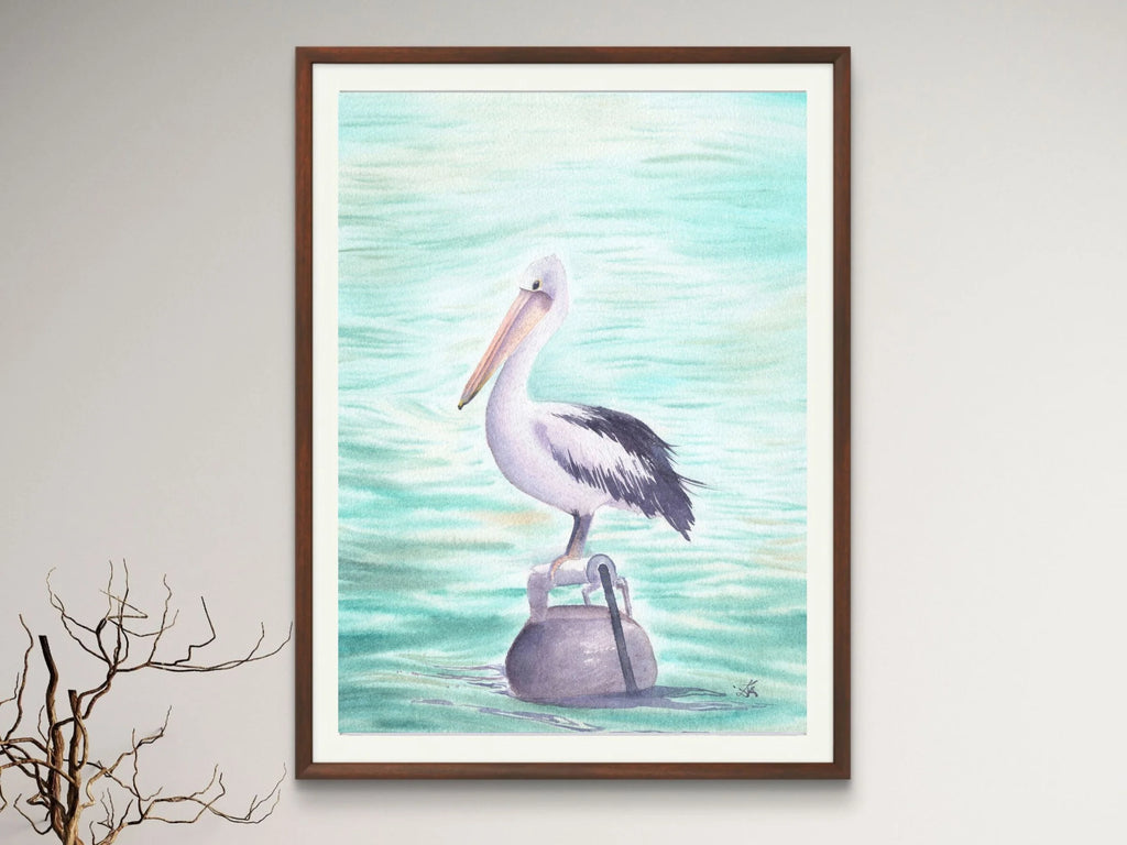 Australian Pelican - Art Print