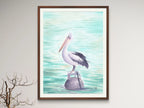 Australian Pelican - Art Print