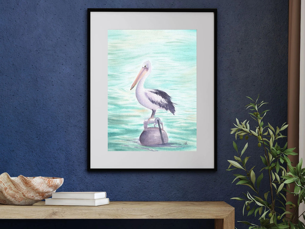 Australian Pelican - Art Print