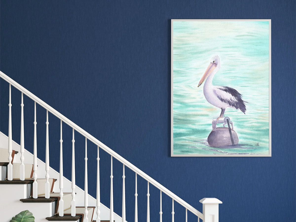Australian Pelican - Art Print
