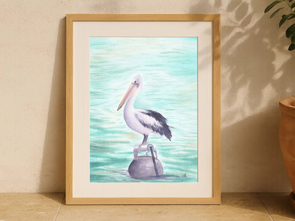 Australian Pelican - Art Print