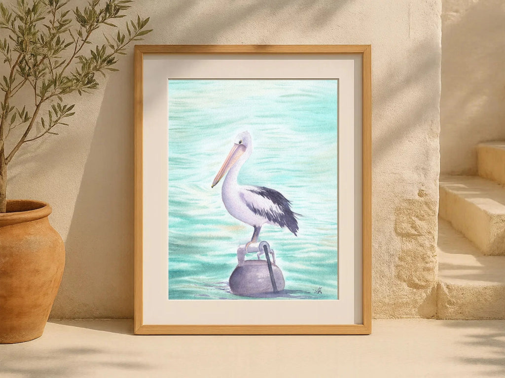 Australian Pelican - Art Print