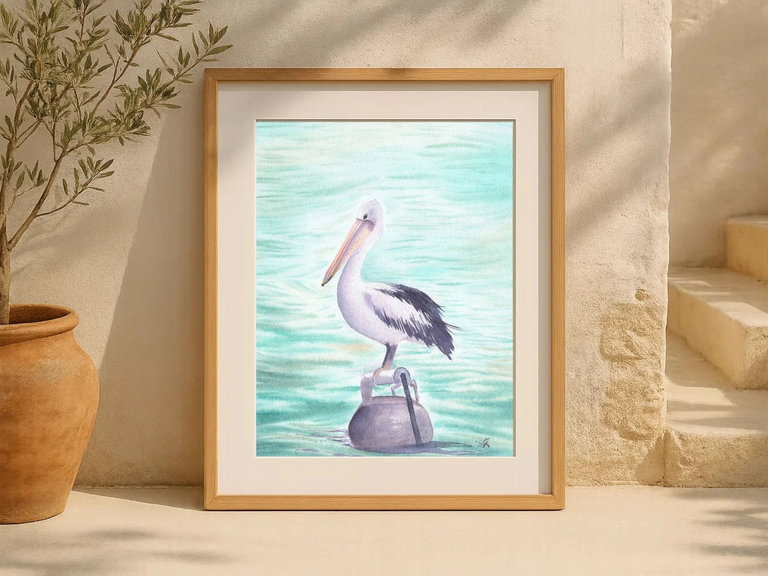 Australian Pelican - Art Print
