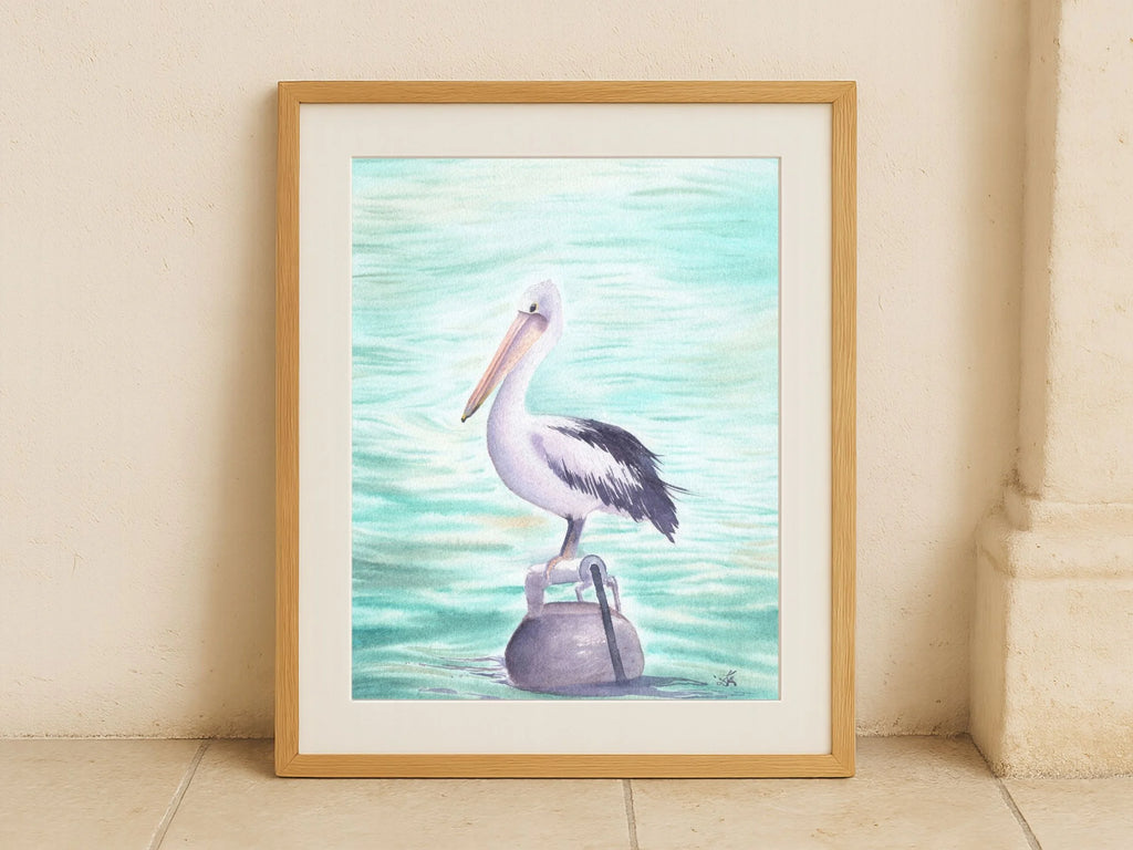Australian Pelican - Art Print
