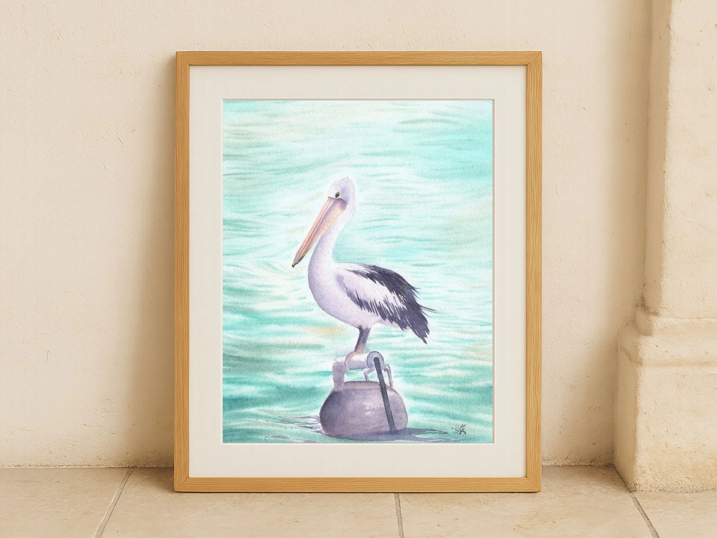 Australian Pelican - Art Print