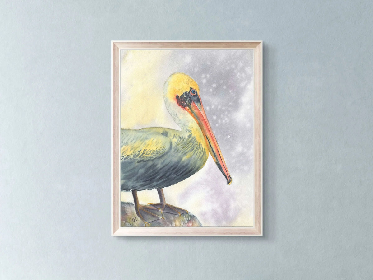 Brown Pelican - Art Print