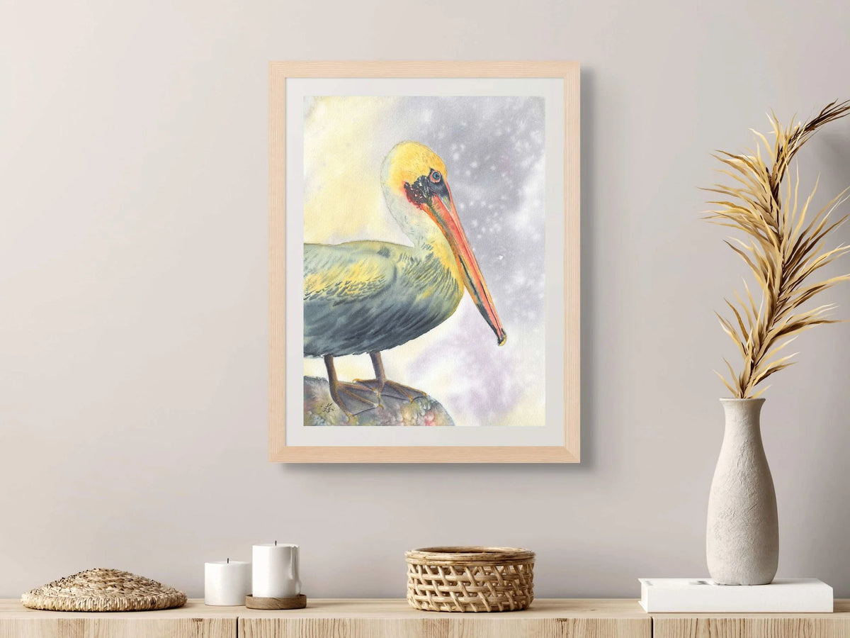 Brown Pelican - Art Print