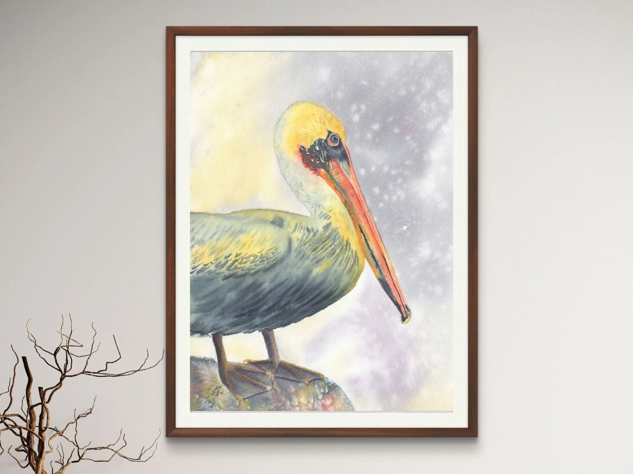 Brown Pelican - Art Print
