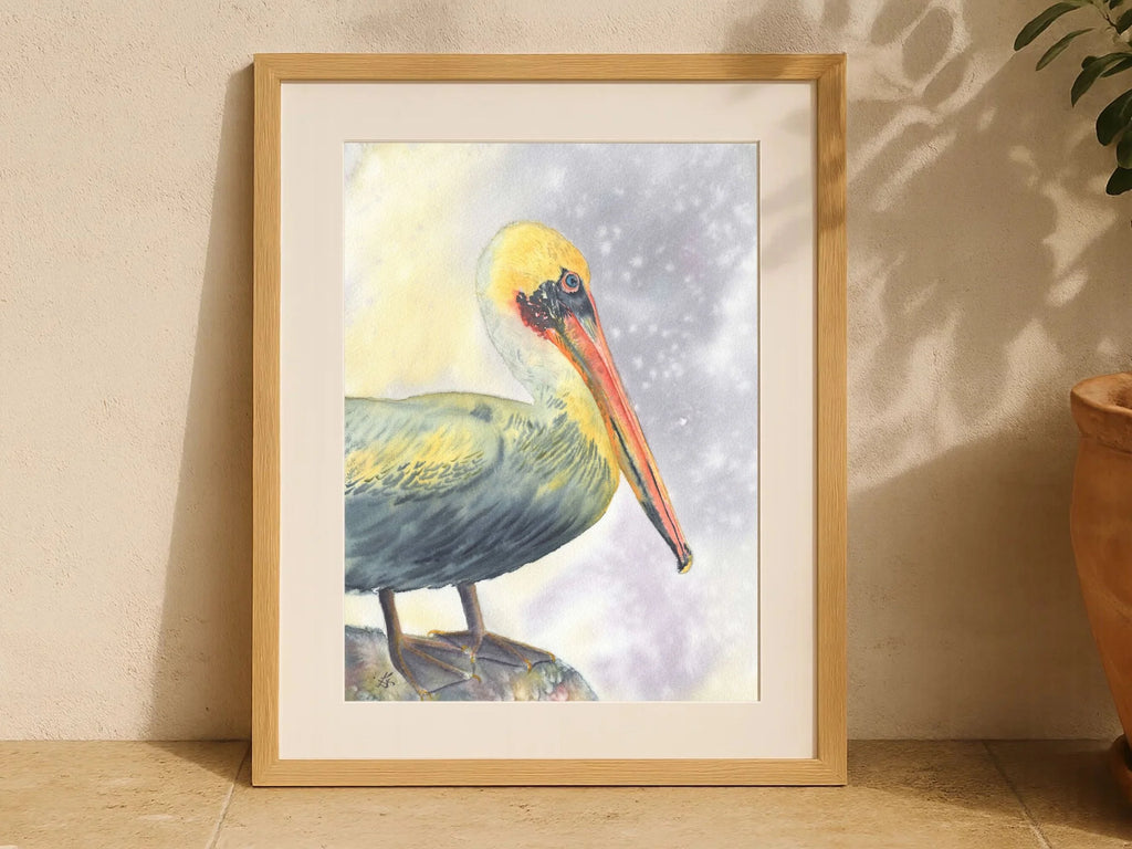 Brown Pelican - Art Print