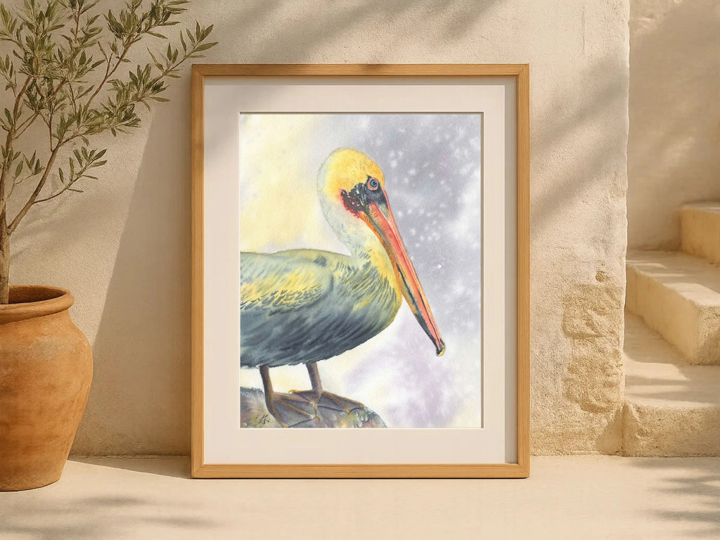 Brown Pelican - Art Print