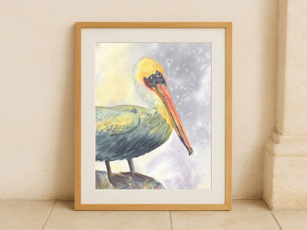 Brown Pelican - Art Print
