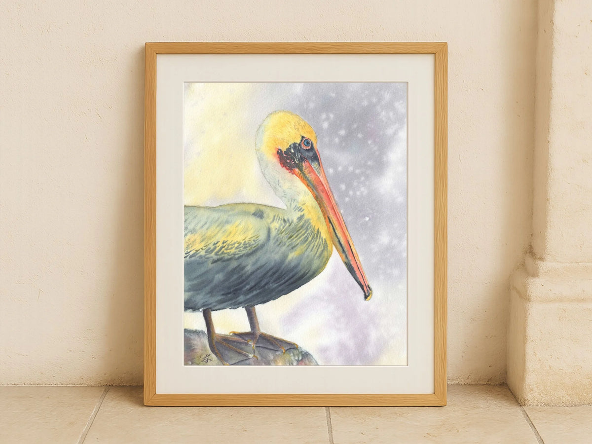 Brown Pelican - Art Print