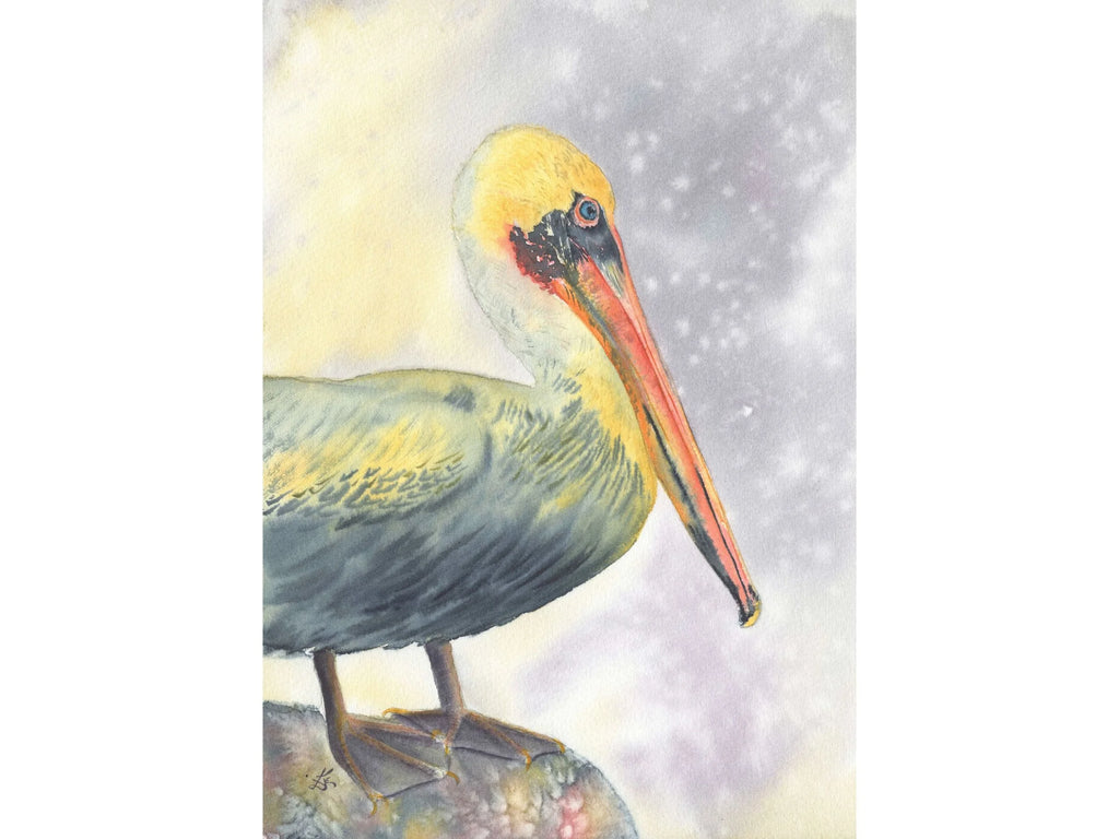 Brown Pelican - Art Print