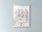 Caucasian Leopard - Art Print