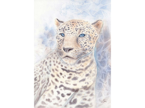 Caucasian Leopard - Art Print