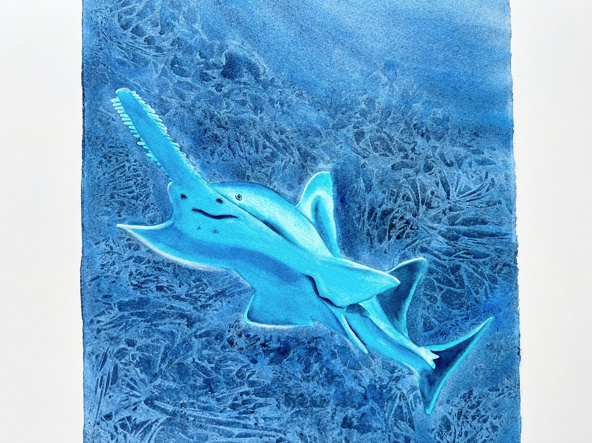 Glowing Sawfish  - Original Watercolor Painting of a Carpenter Shark