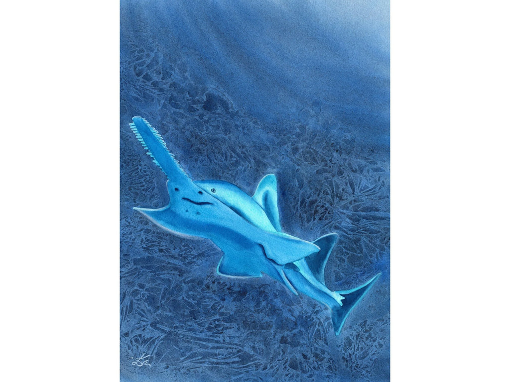 Glowing Sawfish - Art Print