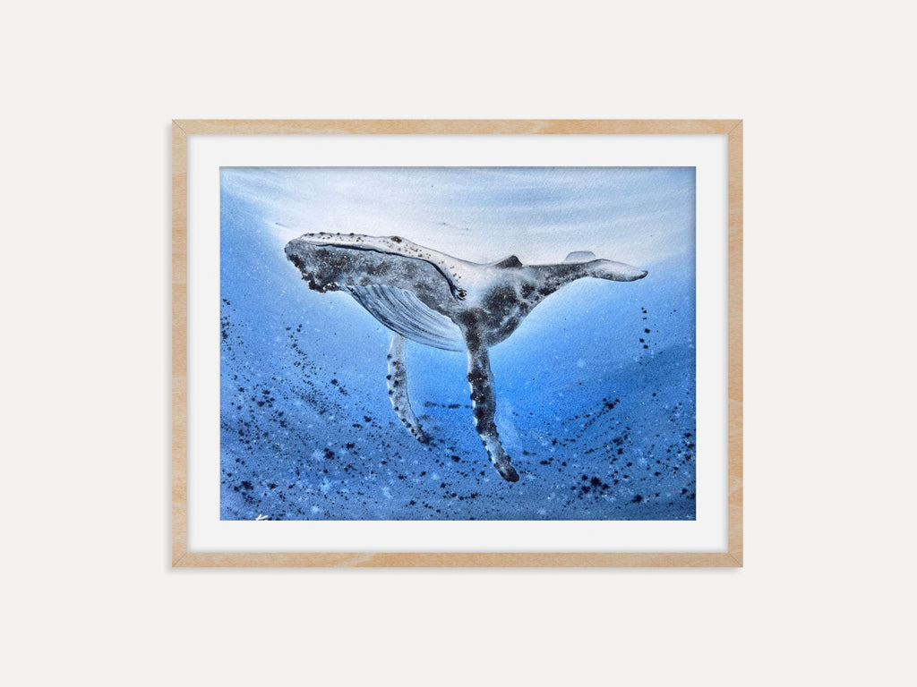 Humpback Whale  - Original Watercolor Painting