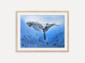 Humpback Whale  - Original Watercolor Painting
