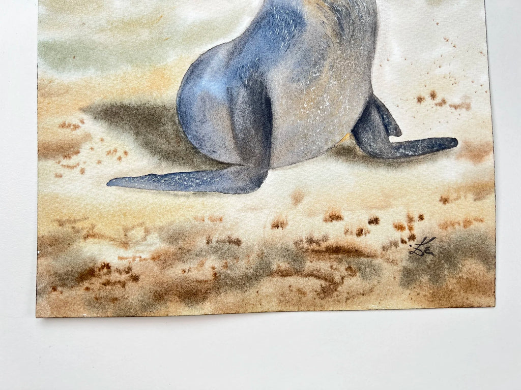Sunbathing Seal  - Original Watercolor Painting
