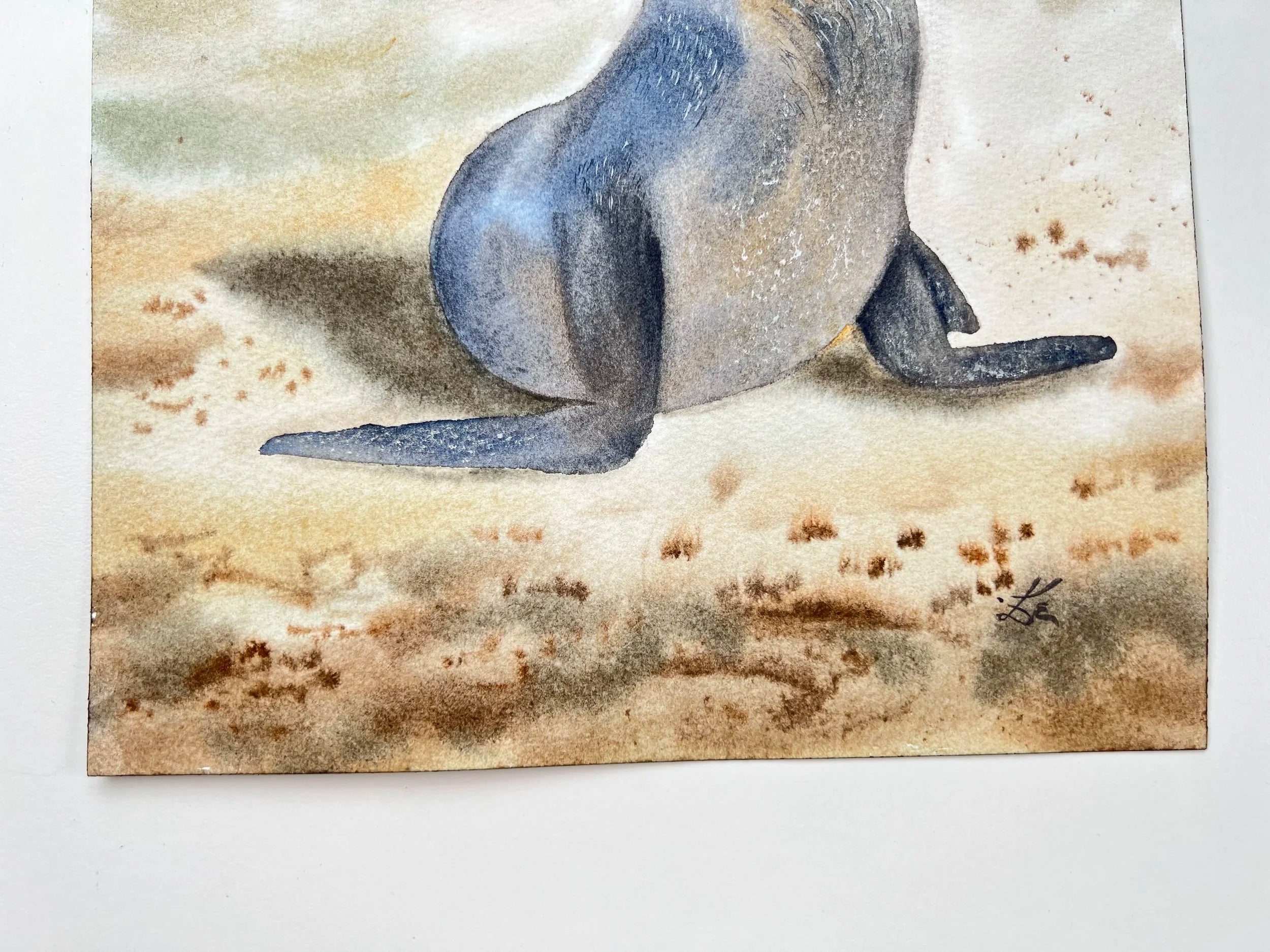 Sunbathing Seal  - Original Watercolor Painting