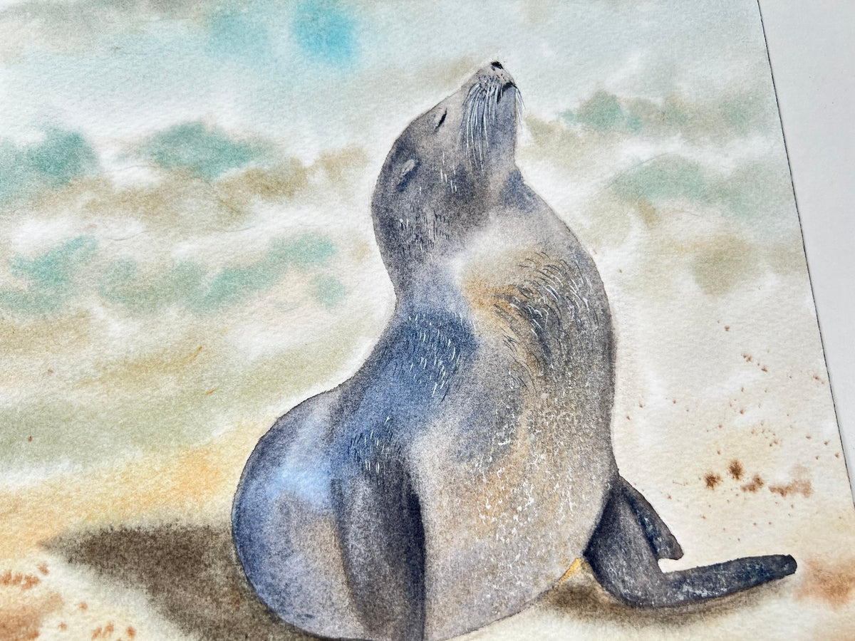 Sunbathing Seal  - Original Watercolor Painting