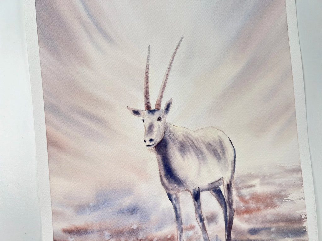 Antheope Oryx - Original Watercolor Painting
